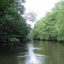 Drake Sierpe Mangrove trail