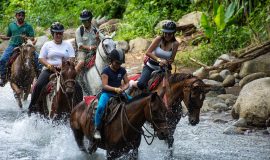 Horseback to La Fortuna Waterfall horses