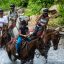 Horseback to La Fortuna Waterfall horses