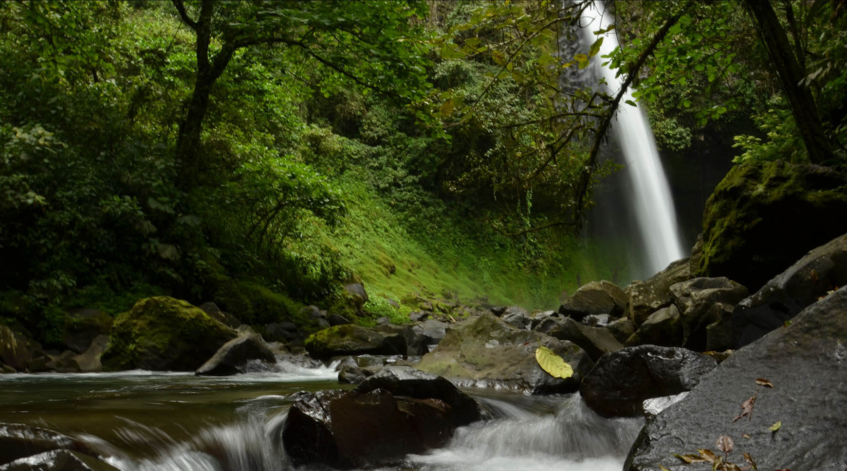 Horseback Riding to La Fortuna Waterfall trough Costa Rican countryside