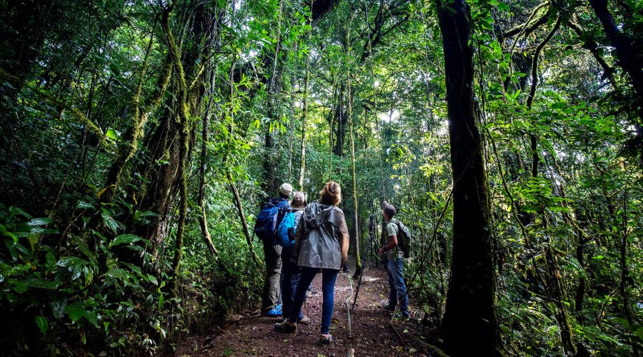 Monteverde Cloud Forest Biological Reserve tourists