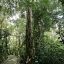Monteverde Cloud Forest Biological Reserve trails