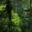 atlantic aerial tram flying