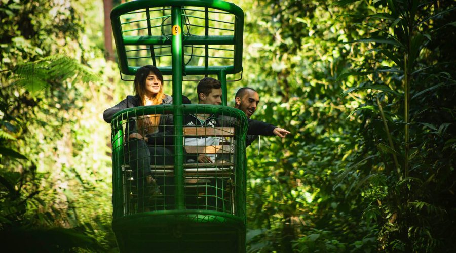 atlantic aerial tram rainforest