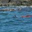 ballena national park snorkeling