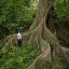 buena vista canopy tour trails