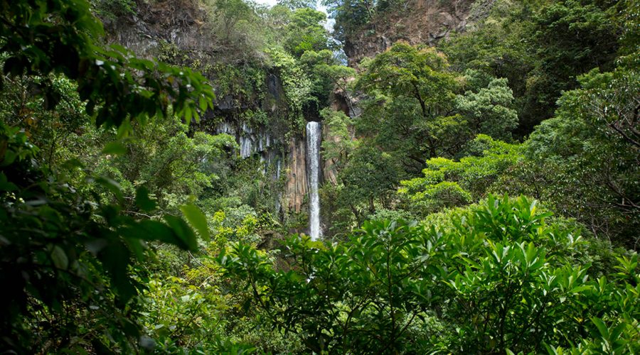 buena vista canopy tour waterfall