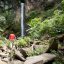 buena vista canopy tour waterfall view