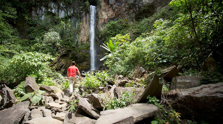 buena vista canopy tour waterfall view