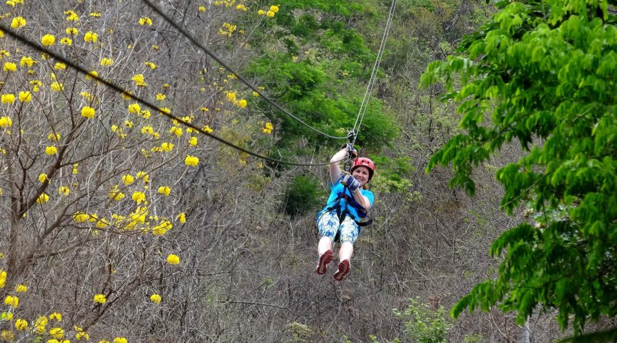 canopy congo trail flying trees