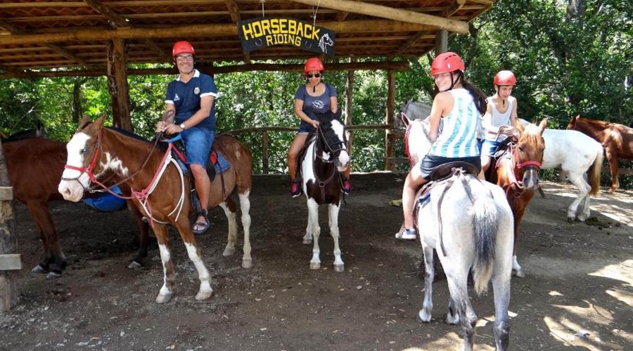 canopy congo trail horseback