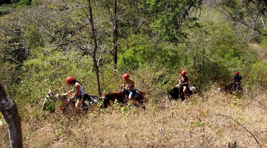 canopy congo trail horseback trails