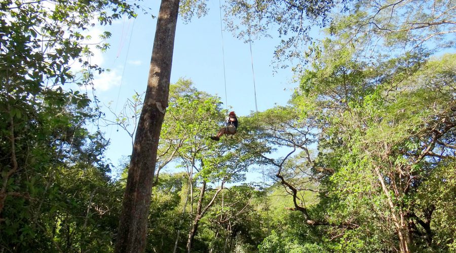 canopy congo trail tree swing