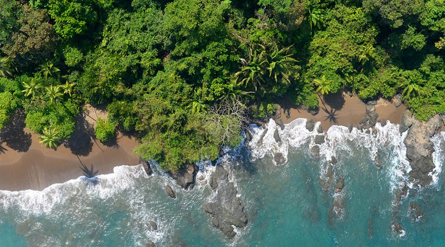 corcovado national park aerial