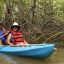 damas estuary mangrove kayak adventure