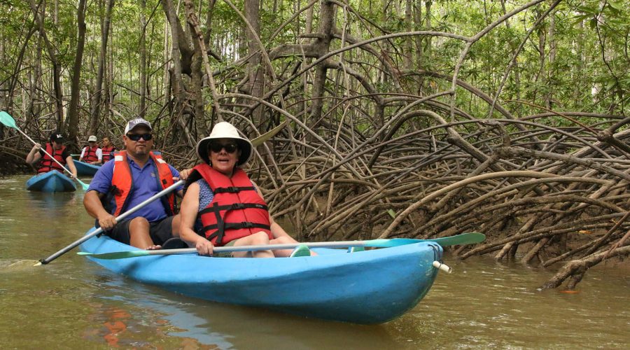 damas estuary mangrove kayak adventure