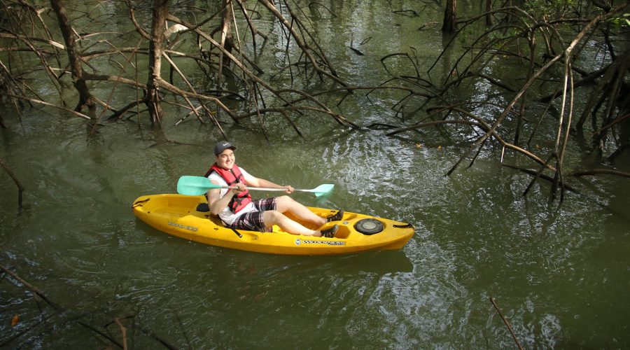 damas estuary mangrove kayak boy