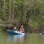 damas estuary mangrove kayak famililes