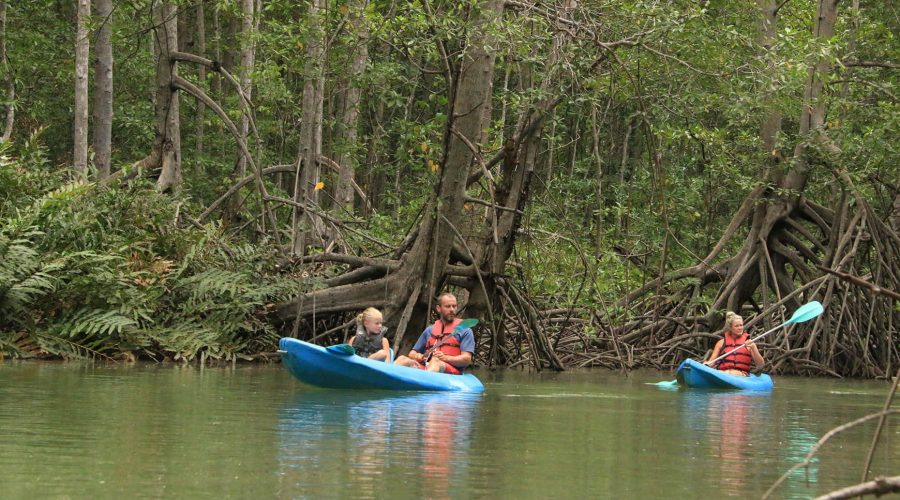 damas estuary mangrove kayak famililes