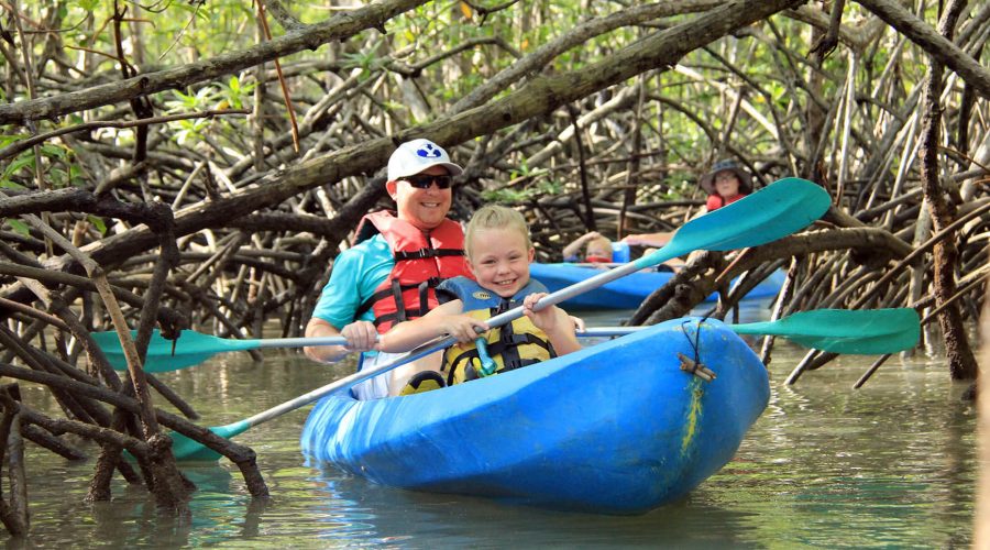 damas estuary mangrove kayak family