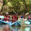 damas estuary mangrove kayak group