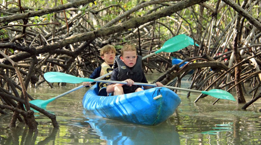 damas estuary mangrove kayak kids