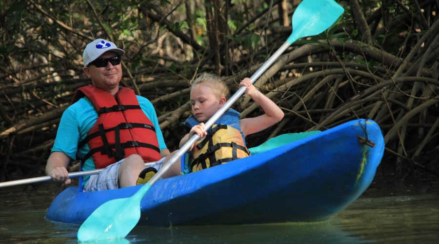 damas estuary mangrove kayak paddle