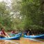 damas estuary mangrove kayak watching