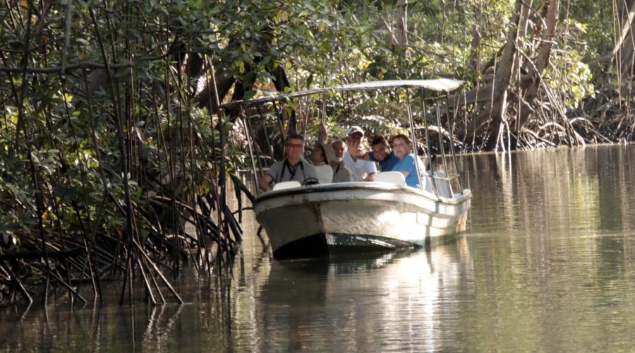 damas island mangrove boat 1