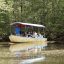 damas island mangrove boat guide