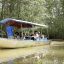 damas island mangrove guide in boat