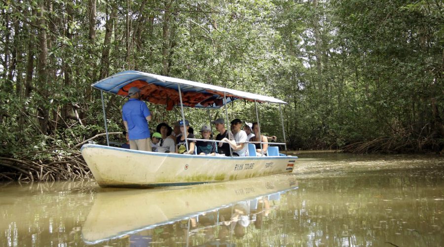 damas island mangrove guide in boat