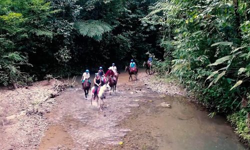 don gilberto tocori horseback