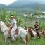 el rodeo horseback guide