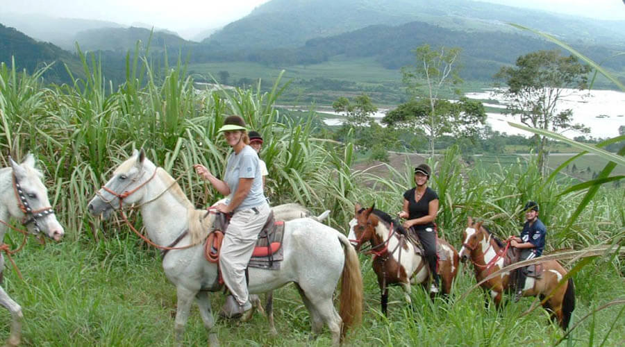 el rodeo horseback guide