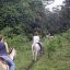 el rodeo horseback riding