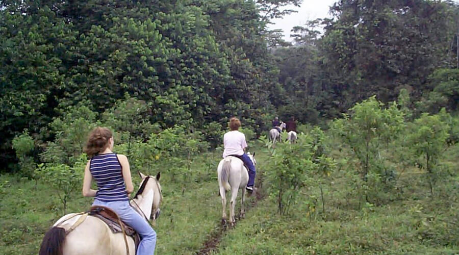 el rodeo horseback riding