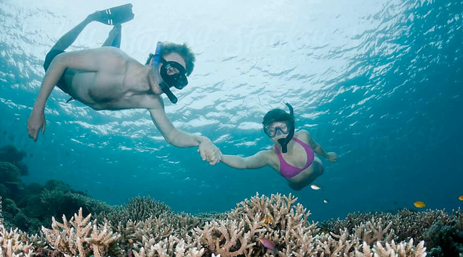 honeymoon snorkeling costa rica
