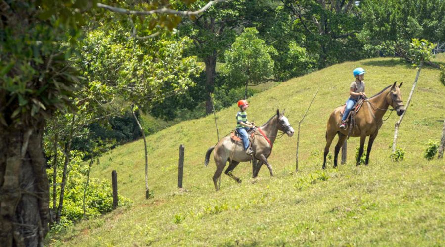 horsebackriding costarica forest
