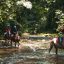 horsebackriding costarica river