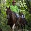 horsebackriding costarica trail