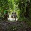 horsebackriding costarica tropical forest