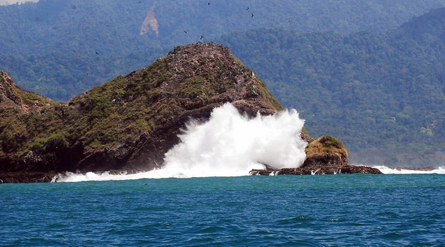 marino ballena national park coast