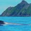 marino ballena national park humpback