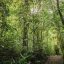 monteverde biological reserve trails 1