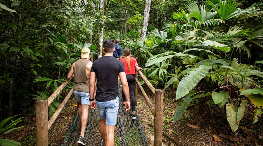 pacific aerial tram botanic garden trails