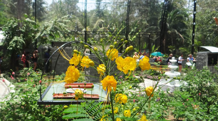 pacific aerial tram butterfly garden