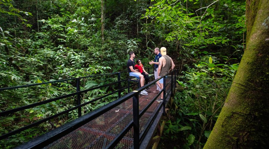 pacific aerial tram terrarium bridge