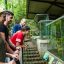 pacific aerial tram terrarium frogs