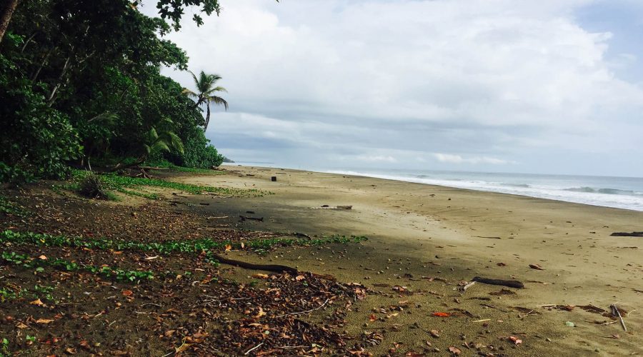 puerto viejo beach view